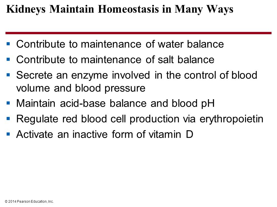How does the body maintain acid base balance